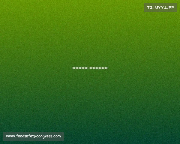 欧洲足坛新赛季开赛在即 球迷期待精彩对决与新星崛起