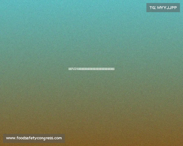 聚焦NBA外线投手发展历程与影响力分析探索新时代三分球革命